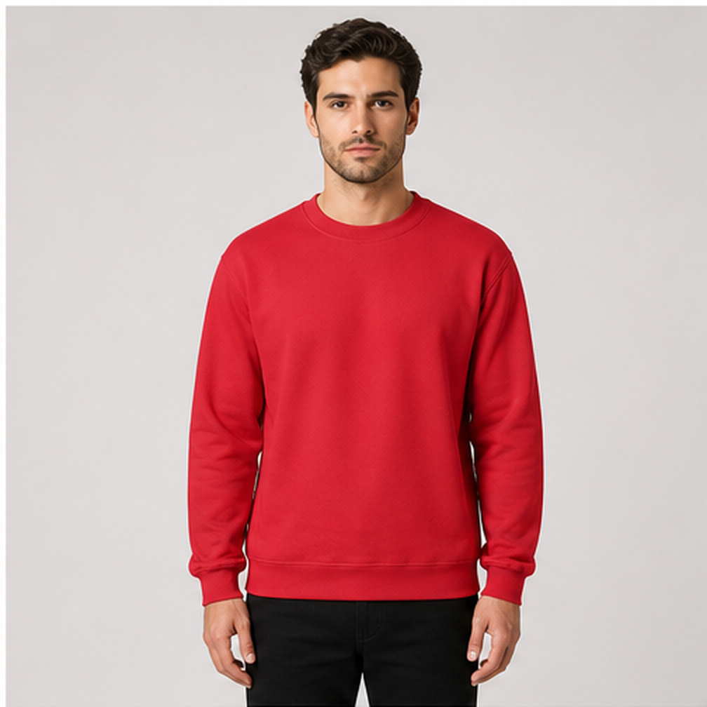 Sweatshirt - Non printed