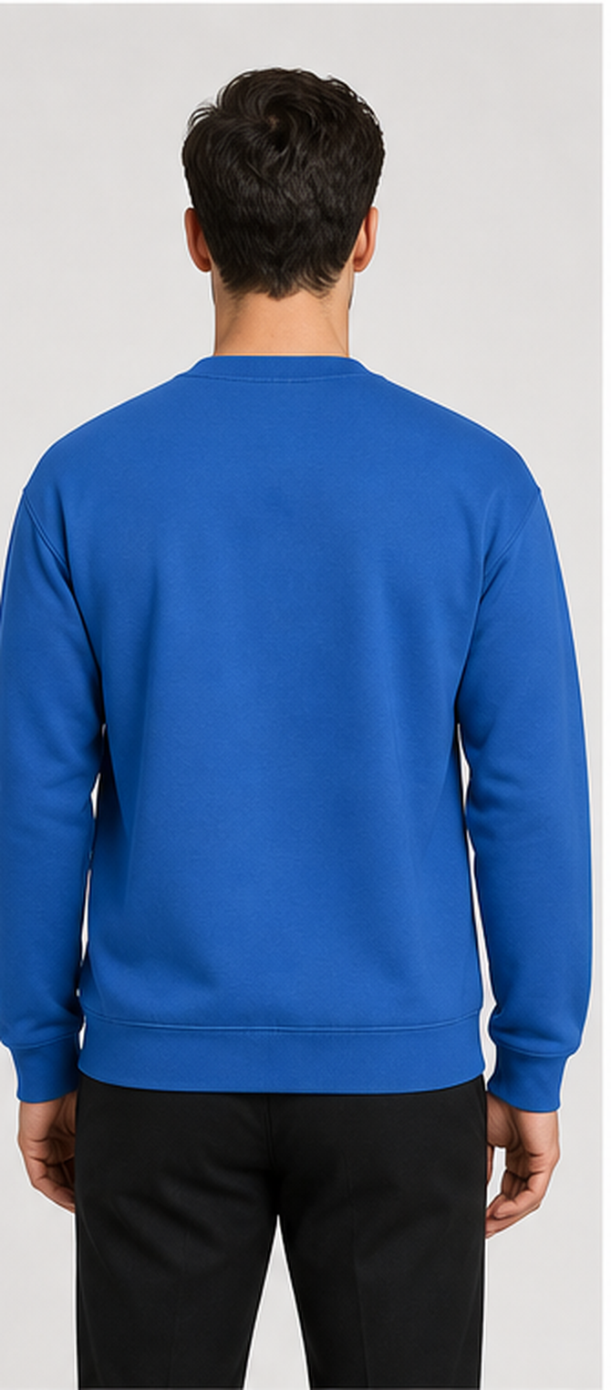 Sweatshirt - Non printed